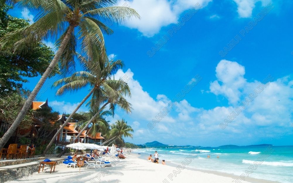 Samui Paradise Chaweng Beach Resort Exterior photo